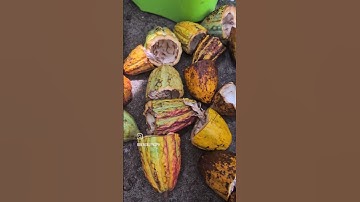 Just another day at the farm! #shorts