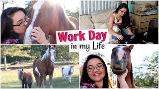 Work Day in My Life - Barn Vlog