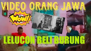 cara merawat burung beo agar cepat ngomong 