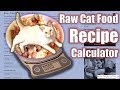 How to make Raw Cat Food using the Recipe Calculator! - Cat Lady Fitness
