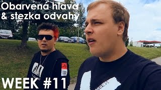 Obarvená hlava a stezka odvahy - WEEK #11