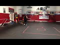 Training with a a Malinois and multiple frisbees