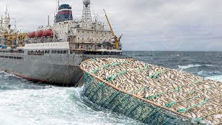 Life INSIDE Largest Fishing Factory SHIP Produces 42 MILLION Cans of Seafood