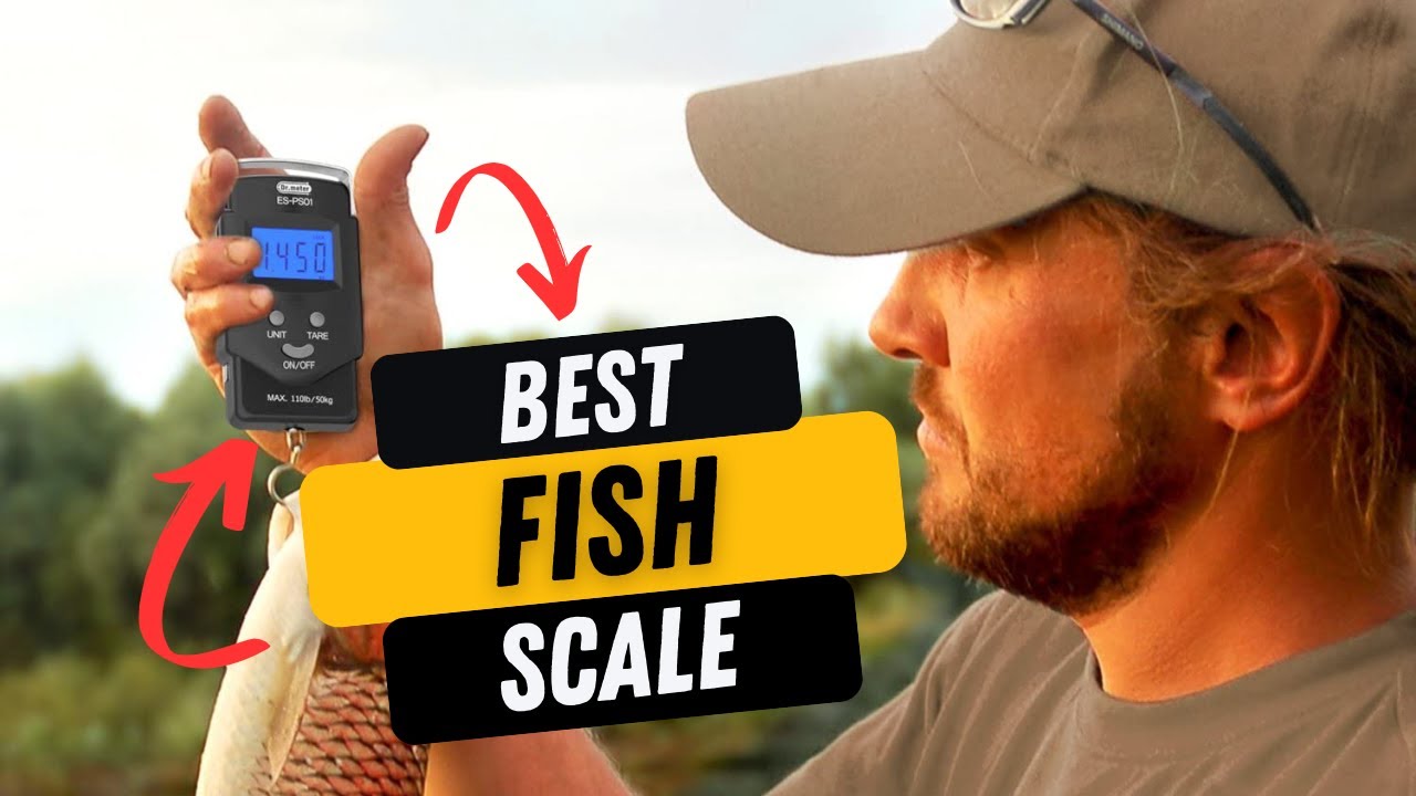 Top 10 Best Fishing Scale Review (2023 Buyer's Guide) 