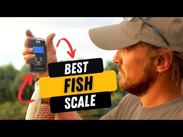 Top 10 Best Fishing Scale Review (2023 Buyer's Guide) 