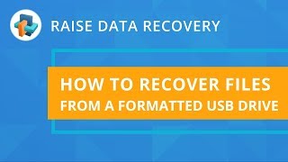 Raise Data Recovery How To Recover Files From A Formatted Storage Sysdev Laboratories