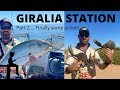 Giralia Station 2022. Part 2. Mud crabs, fishing and camping.