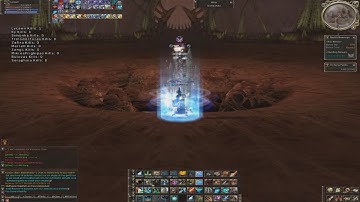 PVP master Spellhowler 2017 lineage 2