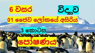 part 3- පෝෂණය/ජෛව ලෝකයේ අසිරිය @nuwana