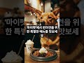 강아지와 함께 떠날수 있는 여행지