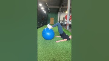 Exercise Ball Hamstring Curl