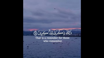 #رعد_الكردي #سورة_هود #قرآن ❤️ #قران_كريم 🎧 #تلاوة_خاشعة 🍃#حالات_واتس 🍁#راحة_نفسية 🥺💜