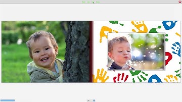 How to preview your Smiley hippo project and order