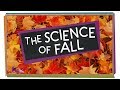 Autumn Changes and Nature Quiz