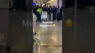 Мигранттар 😔 Внуково аэропортунда депорт