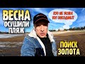 Осушили пляж, пора махать клюшкой! ( Поиск золота на пляже )