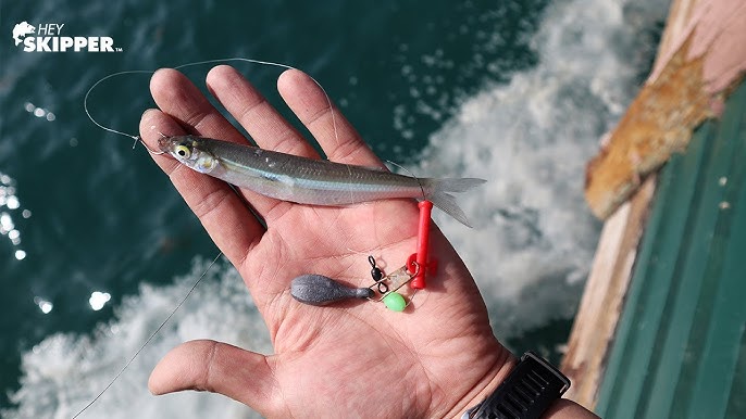 California Fishing The Surf, Always Catch Fish