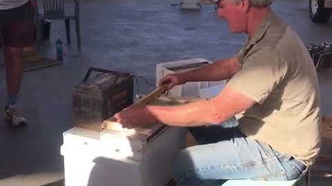 Farming Revolution - Graham Beech using a 12 volt wax embedder to prepare the frames for beekeeping.