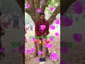 মন শুধু মন ছুঁয়েছে #bagofwords #wordstar #love #song ❤️👍👍👍❤️