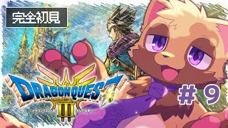 【ドラゴンクエスト3 #9】演出が好きすぎる狸の積みゲー消化枠【ウィルたぬきの日常】