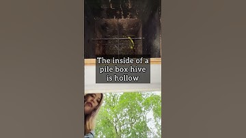 Why do we use a pile box hive in stead of a log hive?