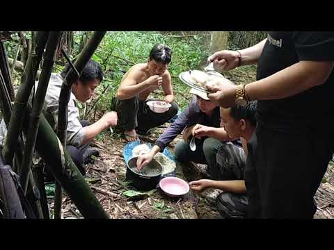 Video: Nqaij Nyuj Thiab Arugula Qhaub Cij