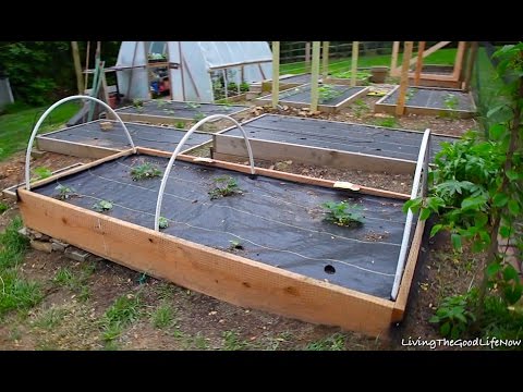 Protecting Garden Fruit Berries Diy 10 Bird Netting Planter Box