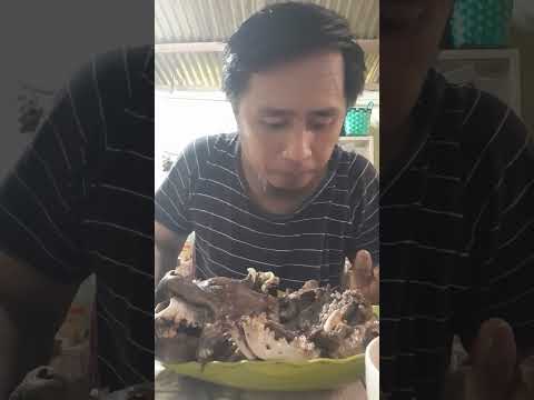 Mukbang kepala anjing 2 ekor