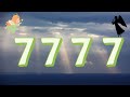 7777 numro dange signification vido