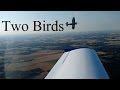 Two Birds.