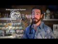 The Benefits of CBD The Benefits of CBD