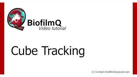 BiofilmQ Tutorials - 2.4 Cube Tracking