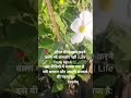 💯🌿औरत की इज्जत करने वाला मर्द कमजोर नहीं | Life Truth Hindi🌿 #RespectWomen#LifeTruth#Mindset #Values