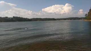 Swimming in lake Lanier Georgia freestyle and Backstroke