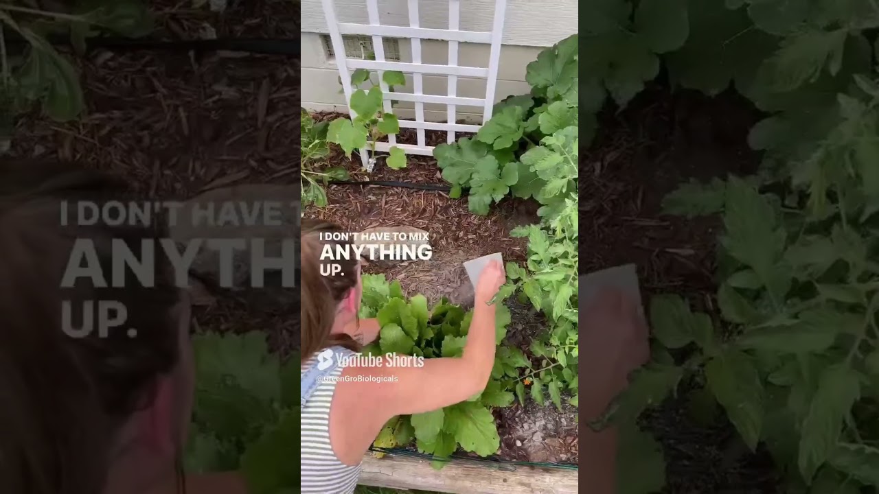 Pride Lands Veg – The Ultimate Nutrient Boost for Indoor & Outdoor Plants! 🌱