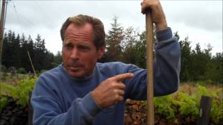 Pest Control - My Back To Eden Garden Interview With Paul Gautschi - L2Survive with Thatnub