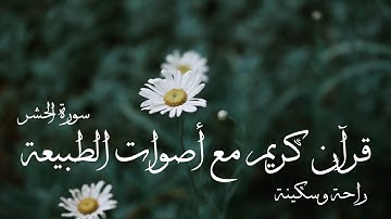 قران كريم مع أصوات الطبيعة اكثر من رائع ارح سمعك - سورة الحشر ياسر الدوسري - قران للنوم ❤.