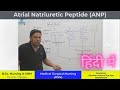 ANP (Atrial Natriuretic Peptide) हिंदी में | Medical Surgical Nursing | MSN | Nursing Online Class