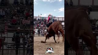 ES UN NIÑO Y VEAN QUE MONTA!!Mosquito De Puente Vs El Papa De Los Pollitos #jaripeorebelde