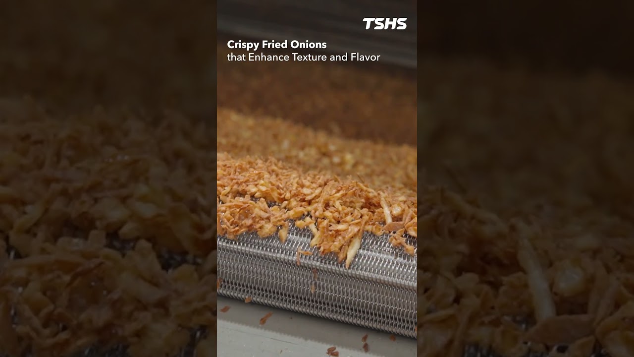 Fried Onion Crisps | Vibratory Infeed | Continuous Fryer｜EP2｜Tsunghsing(TSHS)