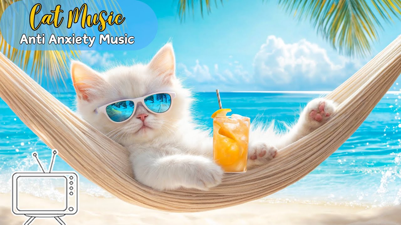 Anti Anxiety Music For Cats 🐈 Stress Relief Music For Cats ♬ Calming ...