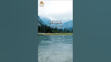 قرآن كريم | ما تيسر من سورة الحجر بصوت هادئ وجميل | عمير شميم