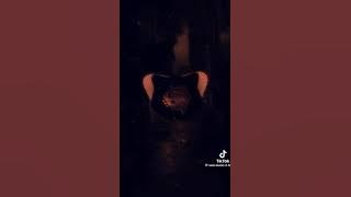 DJ kiat jud day lyrics #sus