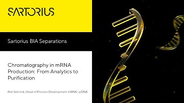 Chromatography in mRNA Production From Analytics to Purification
