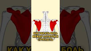 Как убрать боль между лопаток? 😣 #sport #йога #здоровье #сутулость #осанка #спорт #йогатур