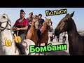 ОТ БОЗОРИДА БОМБА ОТНИ БОЛАСИ OT BOZORI NARHLARI (Mus tv)(Sardor uz)(Tez Kabar)(Нур кабар)