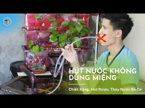 Video: Làm thế nào để đậu hút nước?