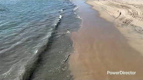 Project 11-06(4)_Full HD 1080p.mp4