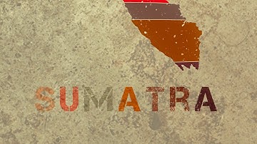  Road to “Sumatra” Album Release March 2026
