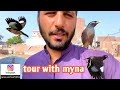 aj myna k sath outside tour // myna talking